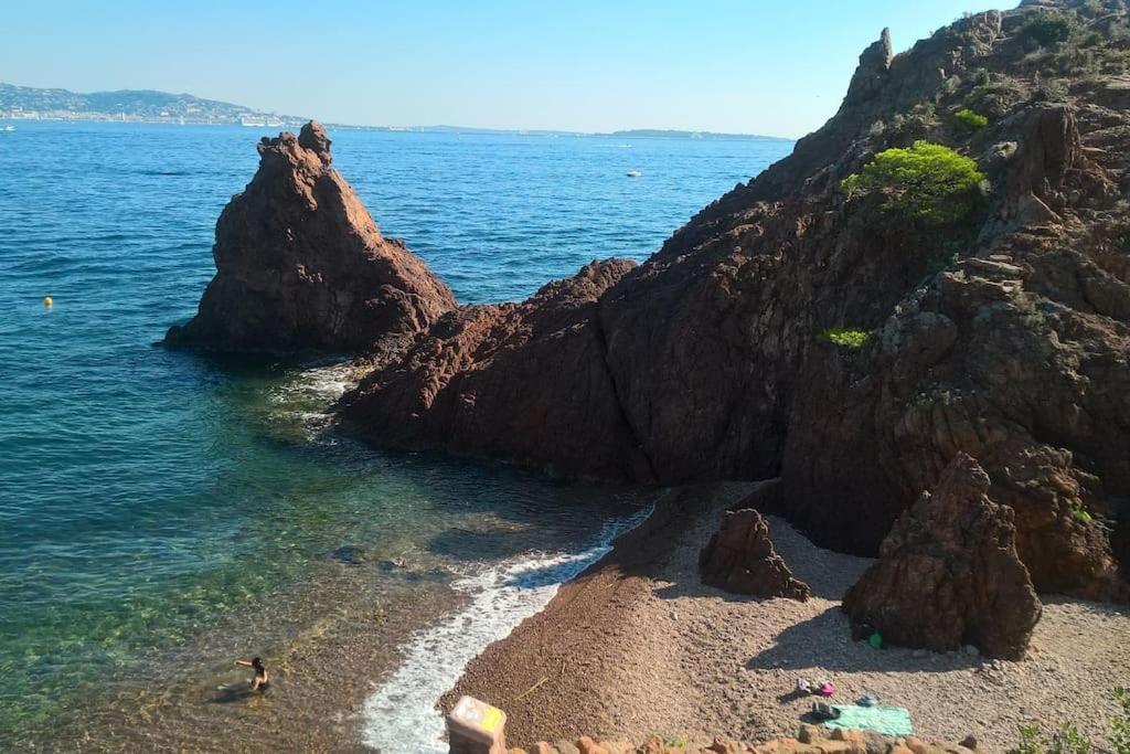 2 Pieces Climatise A 200M Des Plages Theoule-sur-Mer Ngoại thất bức ảnh